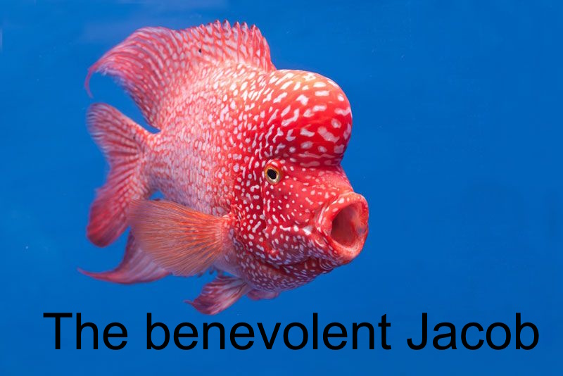 The Benevolent Jacob